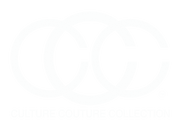 Culture Couture Collection 